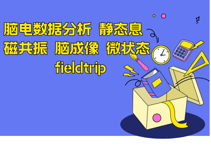 脑电数据分析 静态息 磁共振 脑成像 微状态 fieldtrip