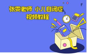 张雯老师 小儿自闭症 视频教程