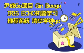尹成Go项目 Gin Beego IRIS ECHO机器学习 推荐系统 清华学神go
