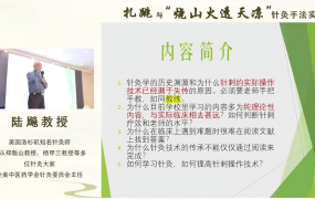 陆飚:扎跳与“烧山火透天凉”针灸手法实操班2025