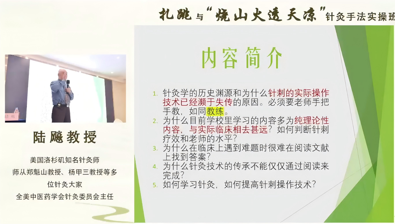 陆飚:扎跳与“烧山火透天凉”针灸手法实操班2025