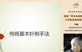 陆飚：针灸精品班——针灸经典解读与几种疑难病的解析（共10讲）