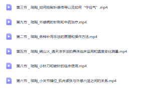 陆飚：“烧山火透天凉”针灸手法系列课程（进阶班）